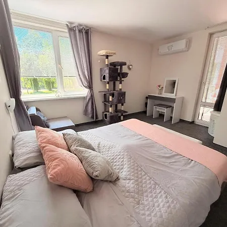 2 Bed Including Free Airport Ride Daire